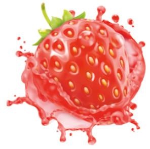 Иллюстрация к книге — Vegan Life. Счастье легким путем. Главный тренд XXI века [i_024.jpg]