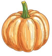 Иллюстрация к книге — Vegan Life. Счастье легким путем. Главный тренд XXI века [i_025.jpg]