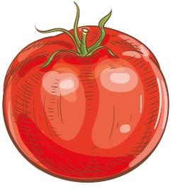 Иллюстрация к книге — Vegan Life. Счастье легким путем. Главный тренд XXI века [i_038.jpg]