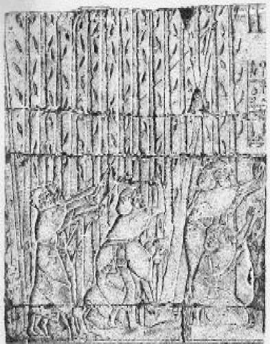 Иллюстрация к книге — Загадки Финикии [any2fbimgloader27.jpg]