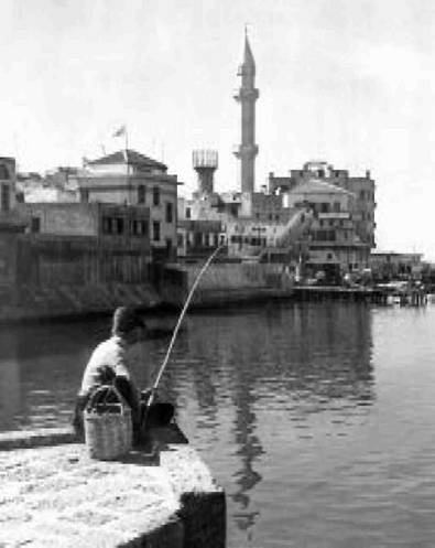 Иллюстрация к книге — Загадки Финикии [any2fbimgloader41.jpg]