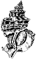 Иллюстрация к книге — Загадки Финикии [any2fbimgloader55.jpg]