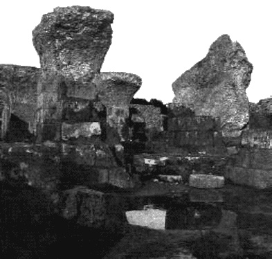 Иллюстрация к книге — Загадки Финикии [any2fbimgloader66.jpg]