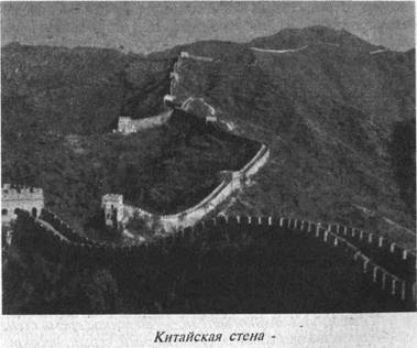 Иллюстрация к книге — Загадки острова Пасхи [i_021.jpg]