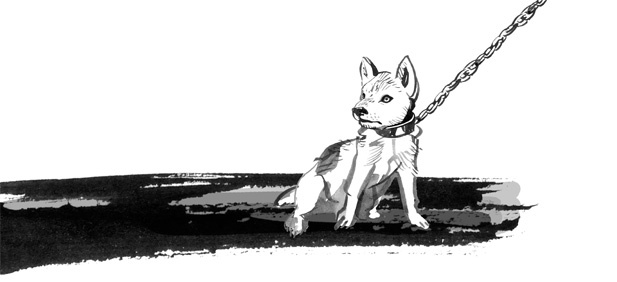 Иллюстрация к книге — Пираты Ледового моря [i_014.jpg]