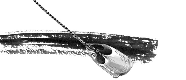 Иллюстрация к книге — Пираты Ледового моря [i_022.jpg]