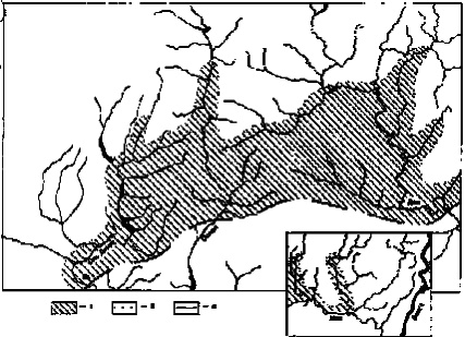 Иллюстрация к книге — Тайны Русского каганата [g20.jpg]