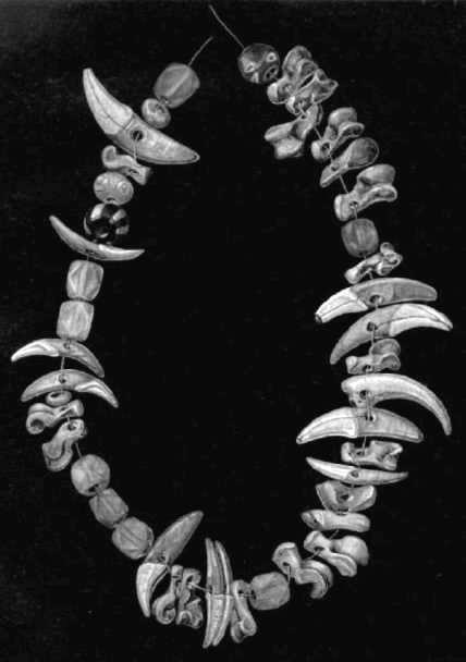 Иллюстрация к книге — Тайны Русского каганата [g26.jpg]