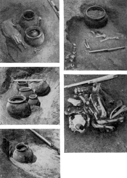 Иллюстрация к книге — Тайны Русского каганата [g55.jpg]