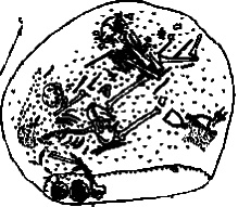 Иллюстрация к книге — Тайны Русского каганата [g57.jpg]