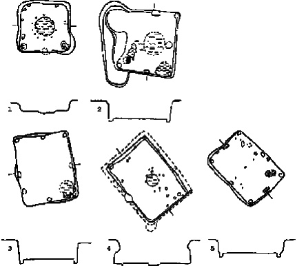 Иллюстрация к книге — Тайны Русского каганата [g64.jpg]