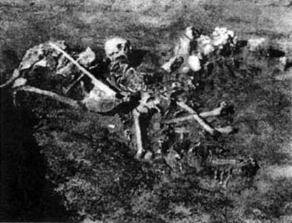 Иллюстрация к книге — Тайны Русского каганата [g73.jpg]