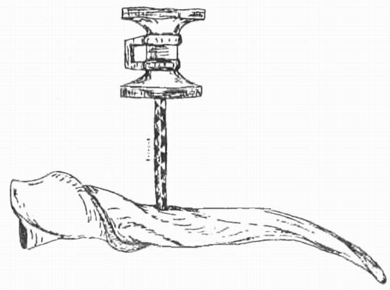 Иллюстрация к книге — Дива Никотина [i_005.jpg]