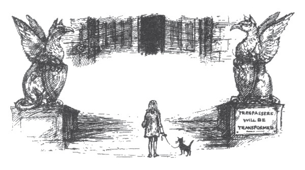 Иллюстрация к книге — Мэри и ведьмин цветок [i_008.jpg]