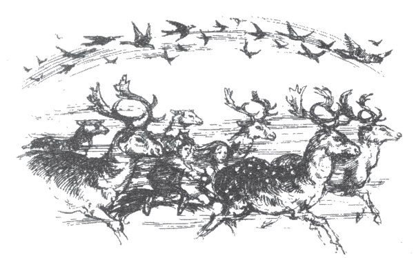 Иллюстрация к книге — Мэри и ведьмин цветок [i_015.jpg]