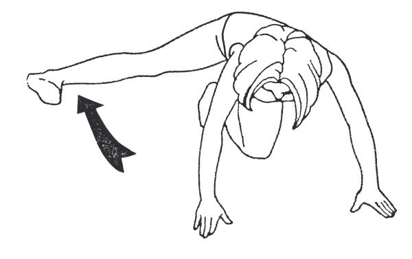 Иллюстрация к книге — Стрельникова, Вилунас, Бутейко. Лучшие дыхательные практики для здоровья! [i_044.jpg]