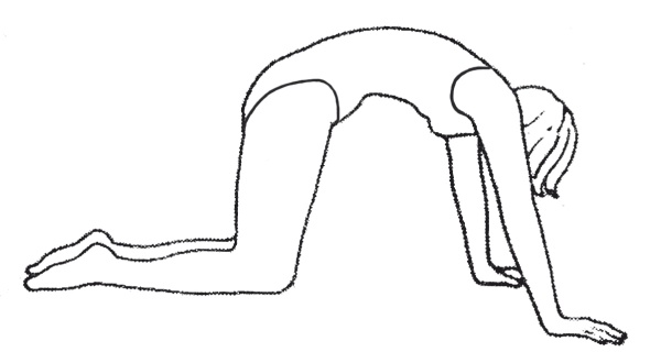 Иллюстрация к книге — Стрельникова, Вилунас, Бутейко. Лучшие дыхательные практики для здоровья! [i_059.jpg]