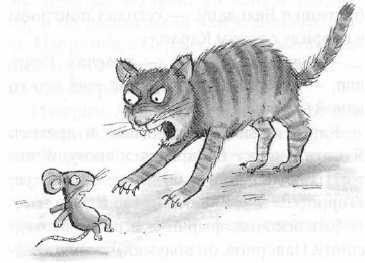 Иллюстрация к книге — Мышонок-путешественник [i_005.jpg]