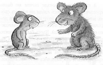 Иллюстрация к книге — Мышонок-путешественник [i_016.jpg]