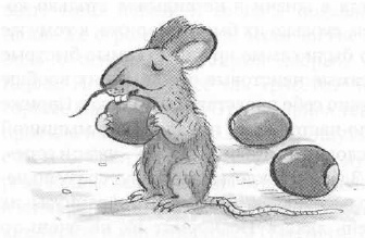 Иллюстрация к книге — Мышонок-путешественник [i_020.jpg]