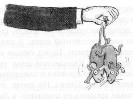 Иллюстрация к книге — Мышонок-путешественник [i_030.jpg]