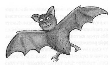 Иллюстрация к книге — Мышонок-путешественник [i_036.jpg]