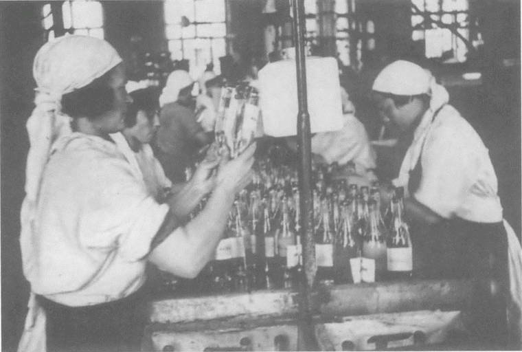 Иллюстрация к книге — Террор и демократия в эпоху Сталина. Социальная динамика репрессий [i_011.jpg]