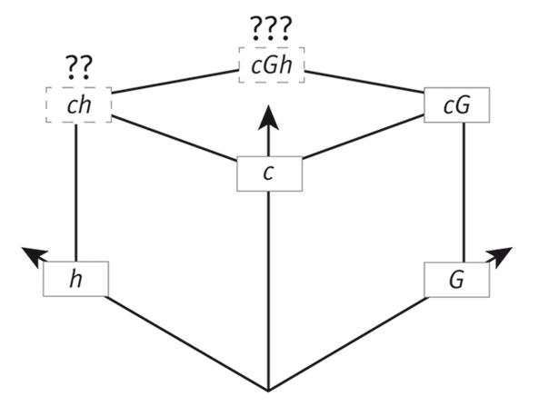 Иллюстрация к книге — Кто изобрел современную физику? От маятника Галилея до квантовой гравитации [i_037.jpg]