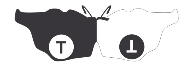 Иллюстрация к книге — Кто изобрел современную физику? От маятника Галилея до квантовой гравитации [i_052.jpg]