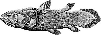 Иллюстрация к книге — Какой была древняя Цивилизация до Катастрофы? [_20.jpg]