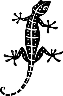 Иллюстрация к книге — Мальчик из джунглей [i_002.jpg]