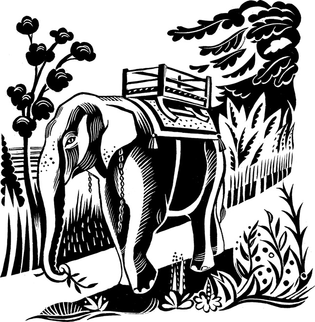 Иллюстрация к книге — Мальчик из джунглей [i_003.jpg]