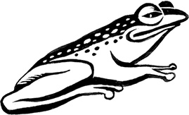 Иллюстрация к книге — Мальчик из джунглей [i_016.jpg]