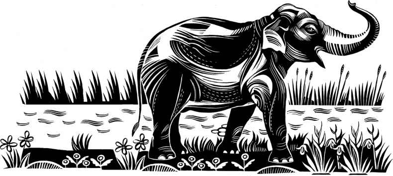 Иллюстрация к книге — Мальчик из джунглей [i_022.jpg]