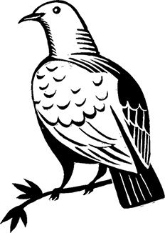 Иллюстрация к книге — Мальчик из джунглей [i_023.jpg]