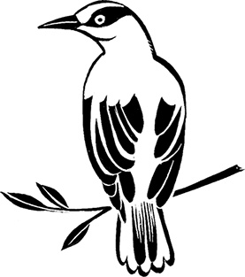 Иллюстрация к книге — Мальчик из джунглей [i_025.jpg]