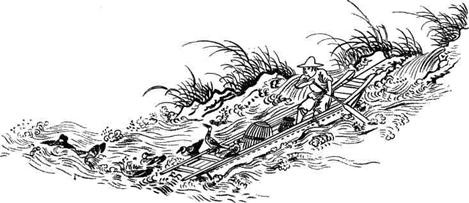 Иллюстрация к книге — История Древнего Китая [pic_135.jpg]