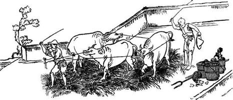 Иллюстрация к книге — История Древнего Китая [pic_89.jpg]