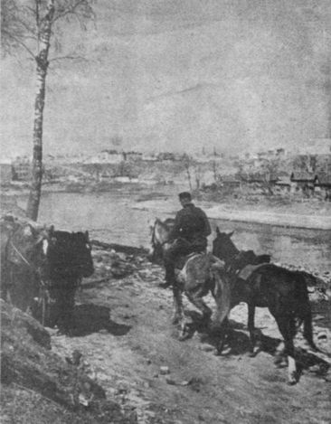 Иллюстрация к книге — Ржевский кошмар глазами немцев [i_017.jpg]