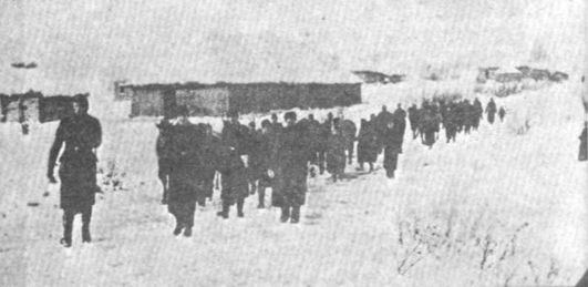 Иллюстрация к книге — Ржевский кошмар глазами немцев [i_019.jpg]