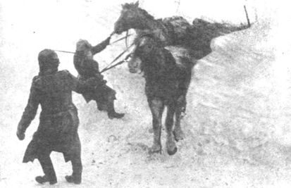 Иллюстрация к книге — Ржевский кошмар глазами немцев [i_024.jpg]