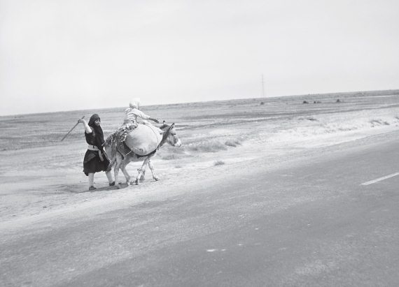 Иллюстрация к книге — Шумер. Вавилон. Ассирия: 5000 лет истории [i_006.jpg]