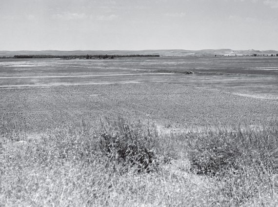 Иллюстрация к книге — Шумер. Вавилон. Ассирия: 5000 лет истории [i_007.jpg]