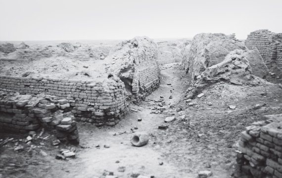 Иллюстрация к книге — Шумер. Вавилон. Ассирия: 5000 лет истории [i_063.jpg]