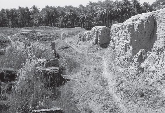 Иллюстрация к книге — Шумер. Вавилон. Ассирия: 5000 лет истории [i_122.jpg]