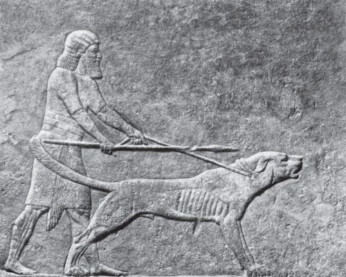 Иллюстрация к книге — Шумер. Вавилон. Ассирия: 5000 лет истории [i_130.jpg]