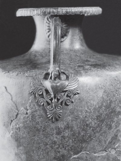 Иллюстрация к книге — Скифы: расцвет и падение великого царства [i_040.jpg]