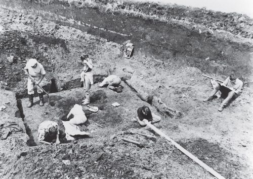 Иллюстрация к книге — Скифы: расцвет и падение великого царства [i_047.jpg]