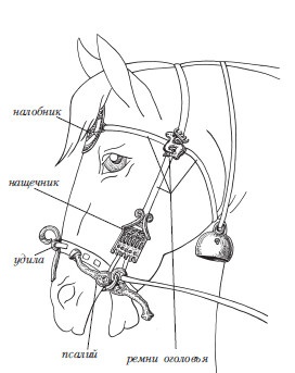 Иллюстрация к книге — Скифы: расцвет и падение великого царства [i_103.jpg]