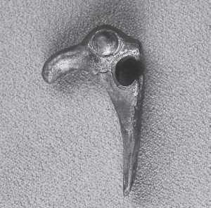 Иллюстрация к книге — Скифы: расцвет и падение великого царства [i_105.jpg]